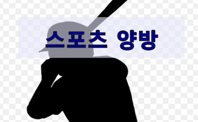 양방 배팅이란