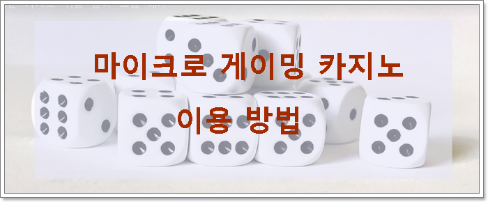 마이크로 게이밍 카지노 이용 방법