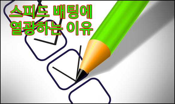 스피드 배팅